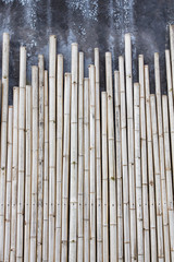 Bamboo texture pattern and concrete background