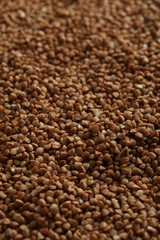 Pile of buckwheat seeds background, close up