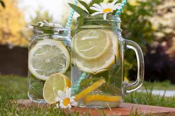 Drinks ready for the outdoor mojito party. Jars decorated with fresh mint and chamomile flowers.