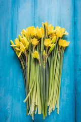 bunch of fresh daffodils