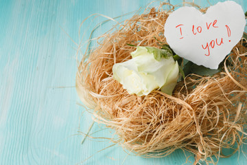 roses in a bird nest