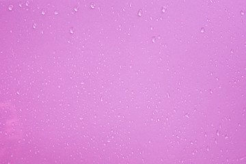 water drops on pink background