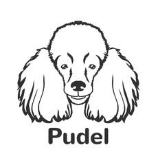 Poodle vector black icon logo illustration