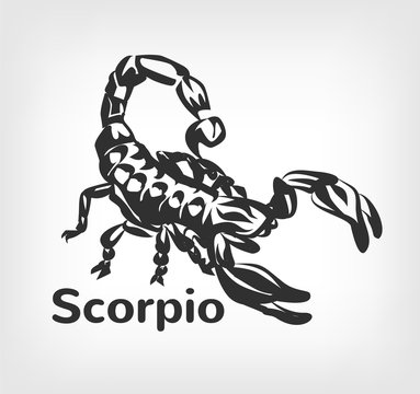 Scorpion vector black icon logo illustration