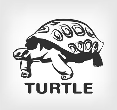 Turtle vector black icon logo illustration