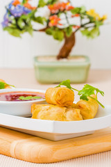 Spring Roll Appetizer Closeup