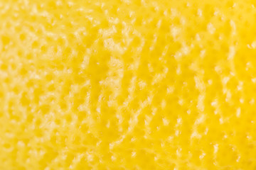 Yellow Lemon Peel Texture Macro