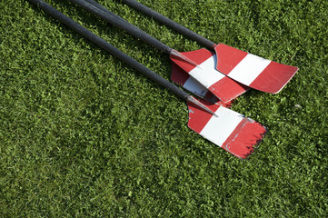 Red and white rowing oars rest in bright green summer grass