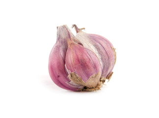 garlic is isolated