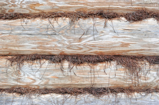 background of hewn logs and insulation