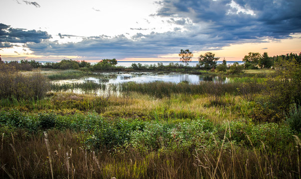 Fototapeta Northern Wetlands Habitat. Protected wetland habitat along the coast of Lake Superior. Tahquamenon Falls State Park. Paradise, Michigan.