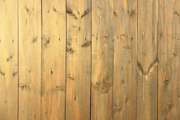 Fototapeta premium Background from boards of wooden fence