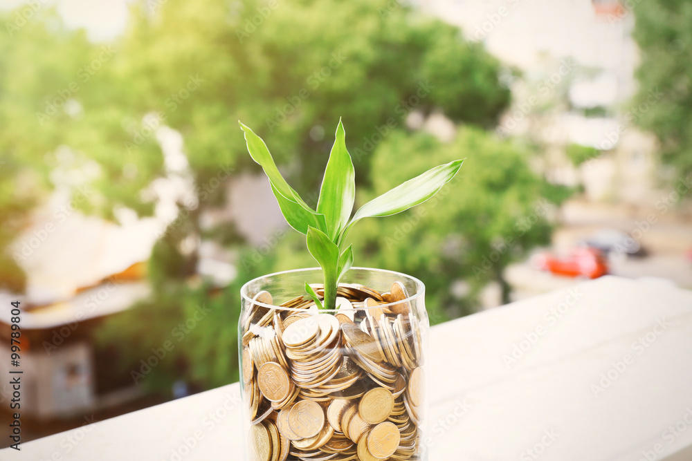 Sticker Plant growing in coins outside