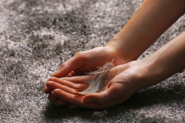 Hands holding a feather on grey carpet background, close-up