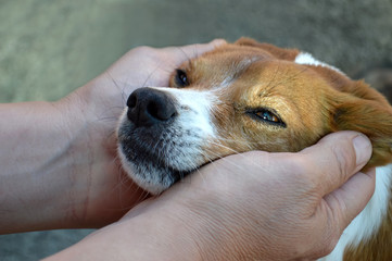 A man cuddling his dog