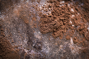 Chocolate pie background