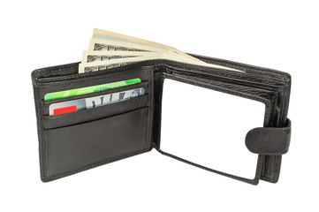 dollars in the wallet