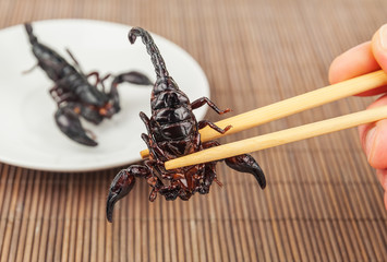 fried exotic scorpion
