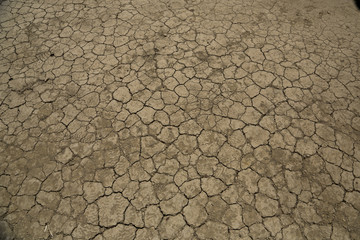 Dry land texture