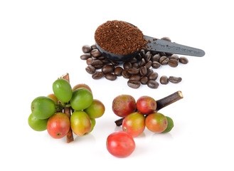 coffee berry and coffee powder on white