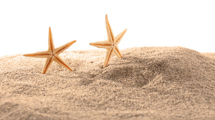 Sea stars on sand isolated on white
