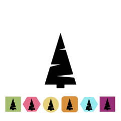 Fototapeta premium Spuce icon