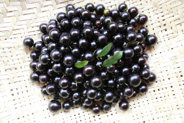 jaboticaba fruit