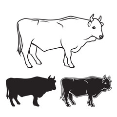 Hand drawn bull set. Vector illustration