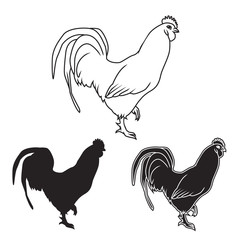 Hand drawn chicken set. Vector illustration
