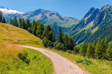 Alpine Trail in Switzerland