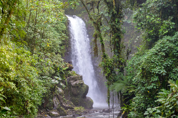 Fototapeta na wymiar Jungle waterfall