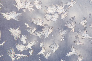 Frosty pattern on the window as small feathers