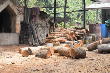 Mangrove tree at charcoal factory - Mangrove tree are used to make the charcoal.