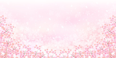 桜　春　花　背景