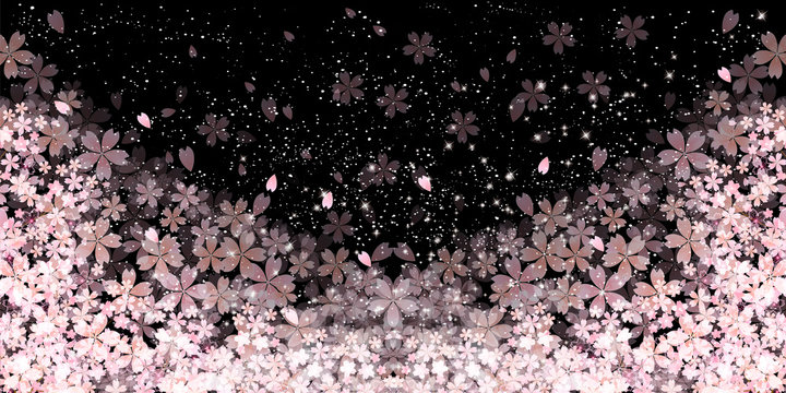 桜　春　花　背景