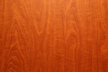  texture of the tree in red background