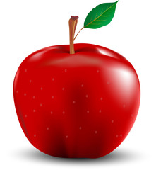 Red apple with leaf illustrator design