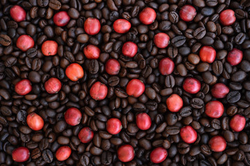 red ripe coffee on coffee beans backgournd.