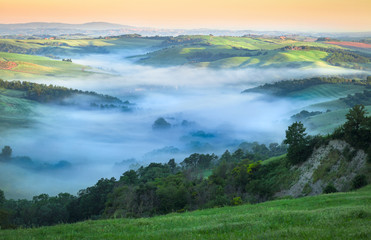 Morning Fog in Fresh Green Tuscan Valley, Summer Landscape