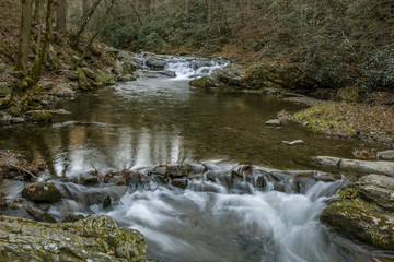 Fototapeta premium Stream Winding Through a Forest - Tennessee