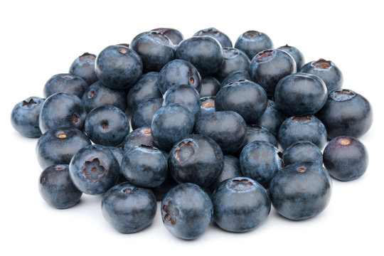 blueberry or bilberry or blackberry or blue whortleberry or huck