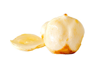 asian Palmyra palm, Toddy palm isolated on white background.