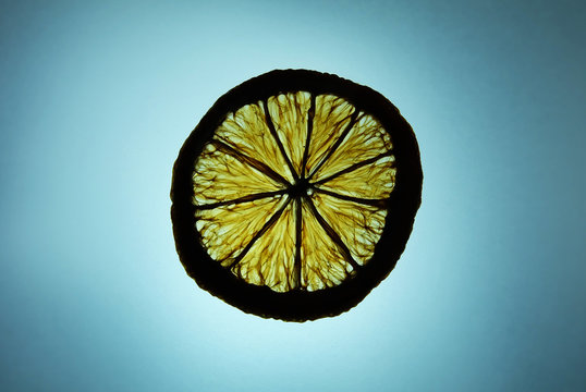 Slice dehydrating grapefruit in light tracing board