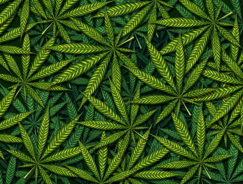 Marijuana Leaves Background