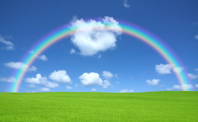 Naklejka premium Green grass and sky