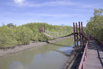 Fototapeta na wymiar Rope bridge