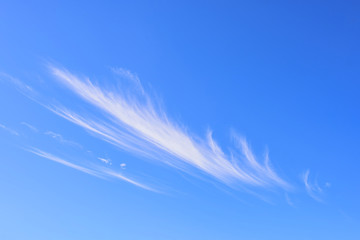 Beautiful cirrus clouds.