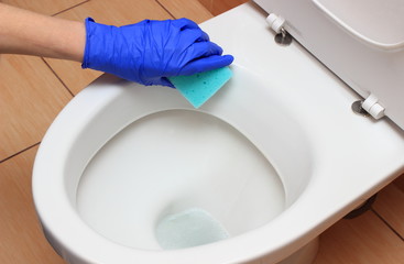 Hand of woman in blue glove cleaning toilet bowl