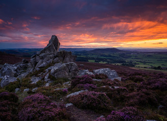 rock formation surrounded by purple heather on the Stiperstones, with Corndon hill in background as the sun sets and lights the sky.