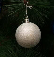 silver toy on Christmas tree branch